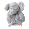 Peluches com mantinha!